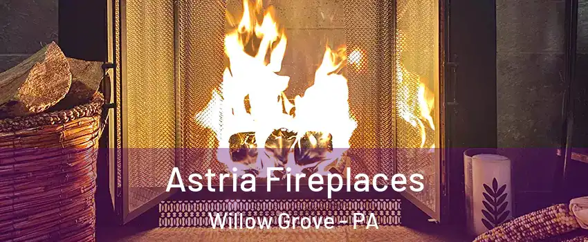  Astria Fireplaces Willow Grove - PA