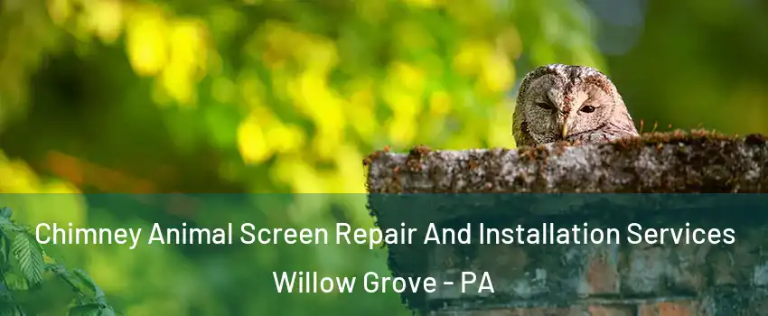  Chimney Animal Screen Repair And Installation Services Willow Grove - PA