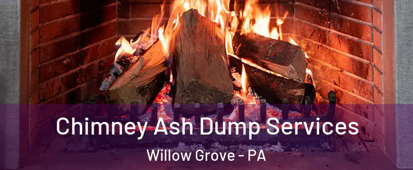  Chimney Ash Dump Services Willow Grove - PA
