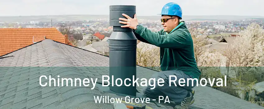  Chimney Blockage Removal Willow Grove - PA