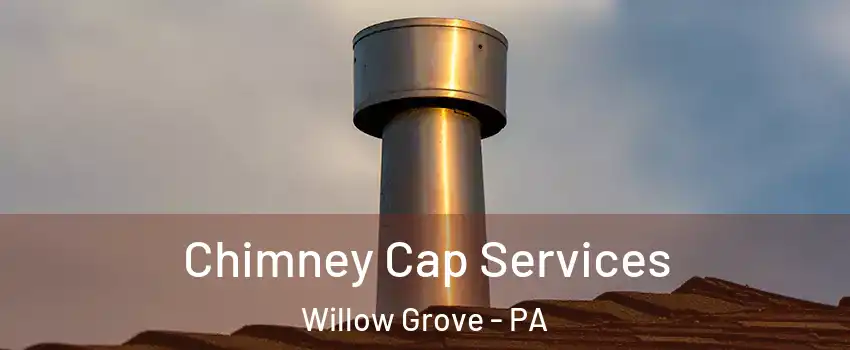  Chimney Cap Services Willow Grove - PA