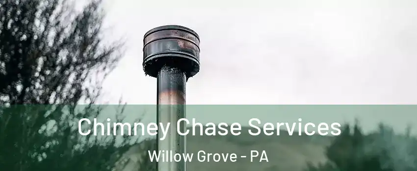  Chimney Chase Services Willow Grove - PA