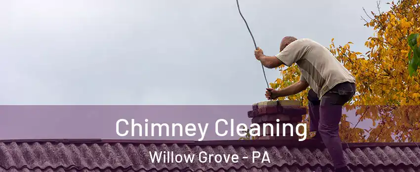  Chimney Cleaning Willow Grove - PA