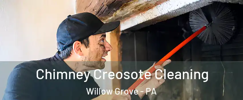  Chimney Creosote Cleaning Willow Grove - PA