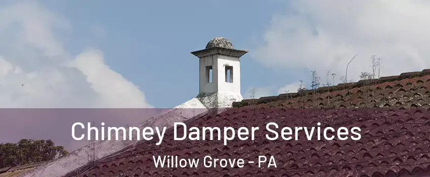  Chimney Damper Services Willow Grove - PA