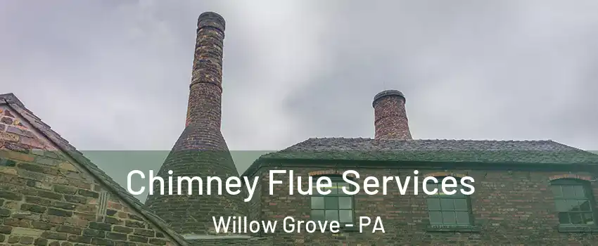  Chimney Flue Services Willow Grove - PA