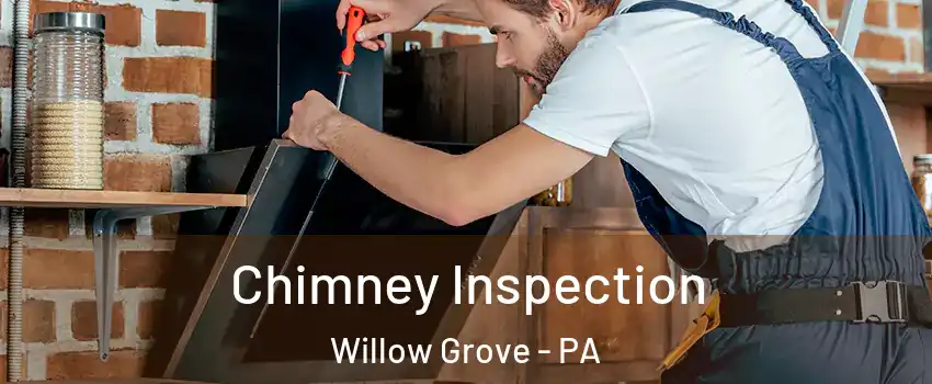  Chimney Inspection Willow Grove - PA