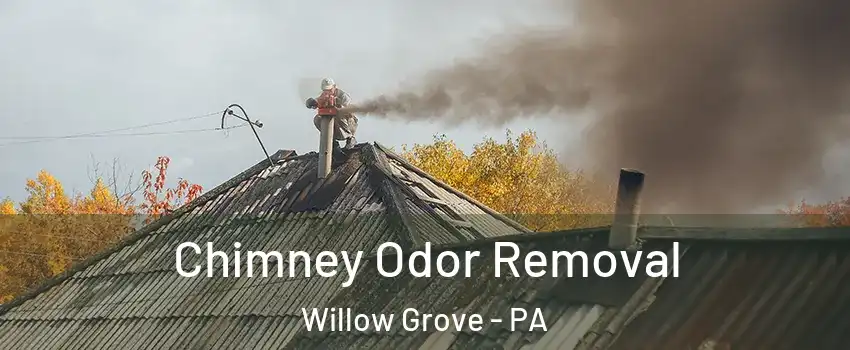  Chimney Odor Removal Willow Grove - PA