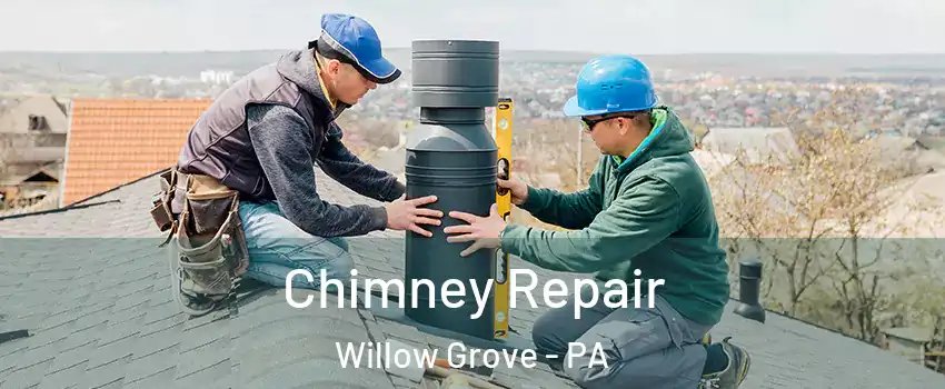  Chimney Repair Willow Grove - PA