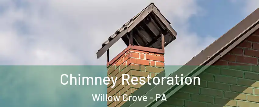  Chimney Restoration Willow Grove - PA
