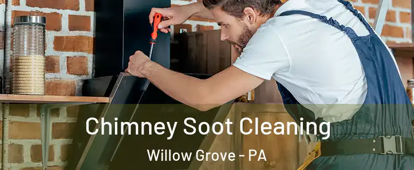  Chimney Soot Cleaning Willow Grove - PA
