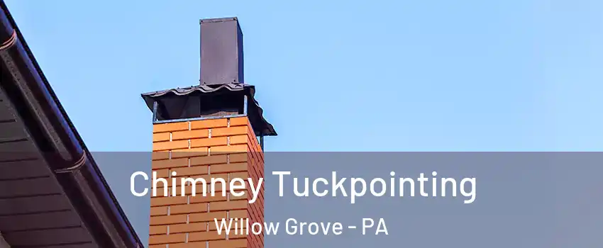  Chimney Tuckpointing Willow Grove - PA