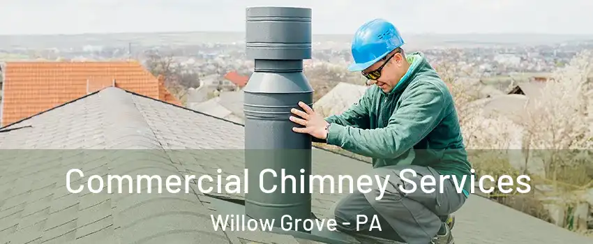  Commercial Chimney Services Willow Grove - PA