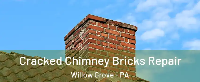  Cracked Chimney Bricks Repair Willow Grove - PA