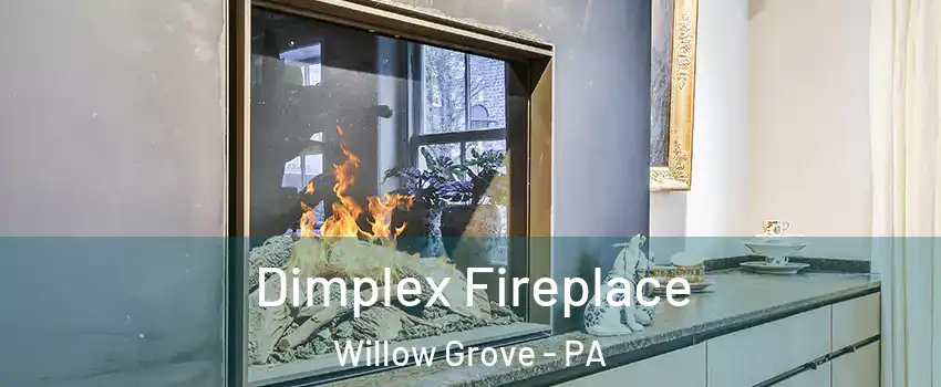  Dimplex Fireplace Willow Grove - PA