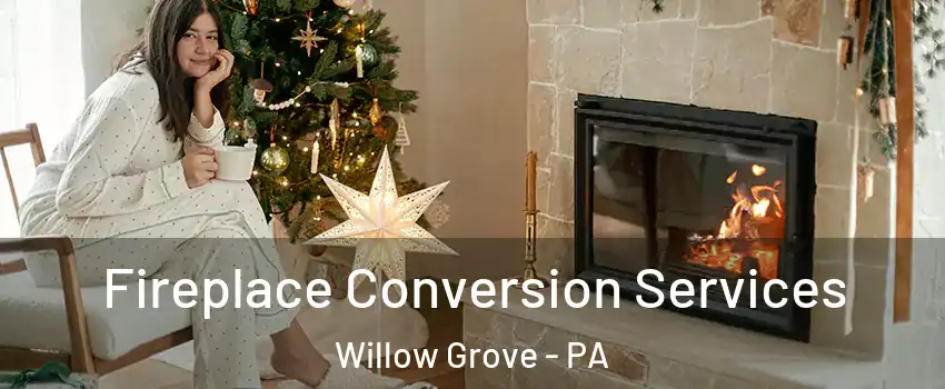  Fireplace Conversion Services Willow Grove - PA