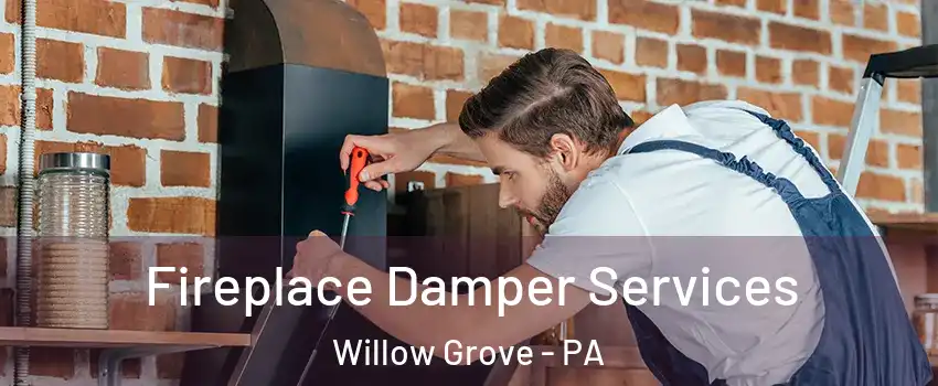  Fireplace Damper Services Willow Grove - PA