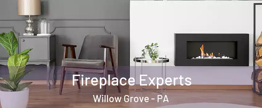  Fireplace Experts Willow Grove - PA