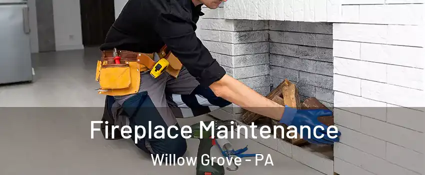  Fireplace Maintenance Willow Grove - PA