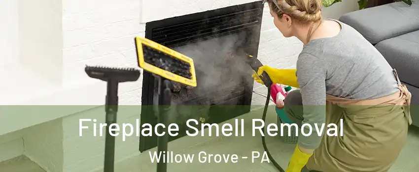  Fireplace Smell Removal Willow Grove - PA