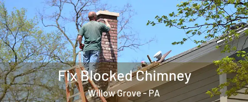  Fix Blocked Chimney Willow Grove - PA