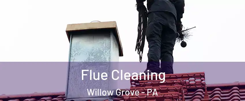  Flue Cleaning Willow Grove - PA