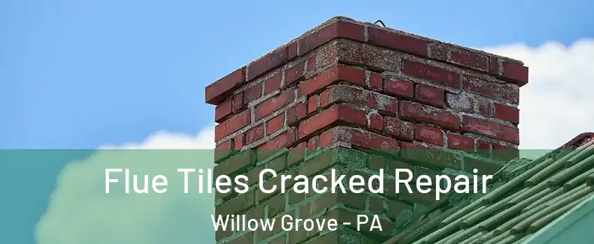  Flue Tiles Cracked Repair Willow Grove - PA