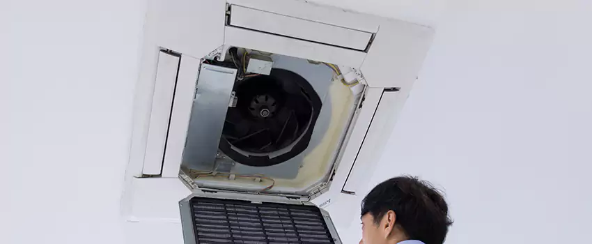 Benefits of Professional Air Duct Cleaning in Willow Grove, Pennsylvania