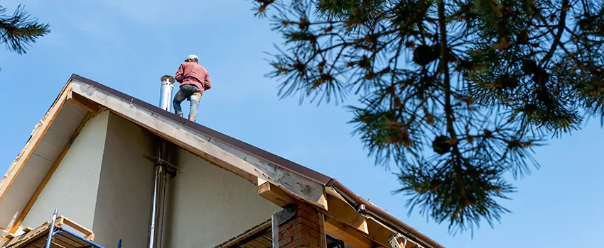 Birds Removal Contractors from Chimney in Willow Grove, PA