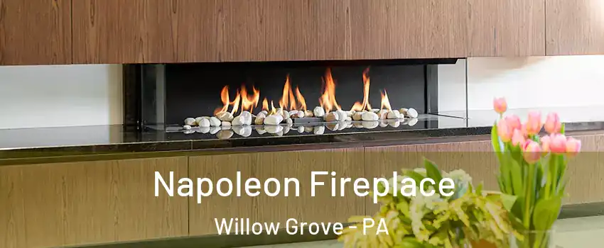  Napoleon Fireplace Willow Grove - PA