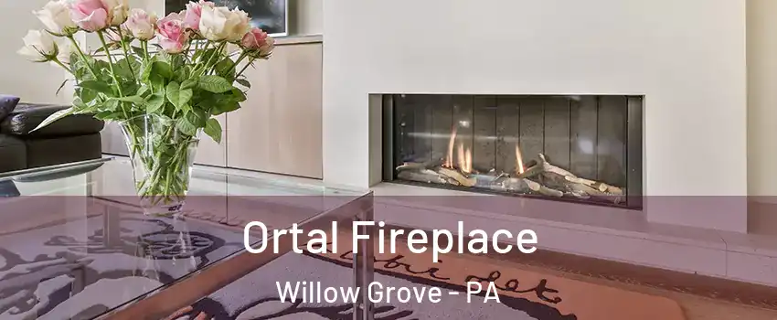  Ortal Fireplace Willow Grove - PA