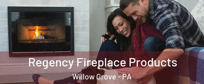  Regency Fireplace Products Willow Grove - PA