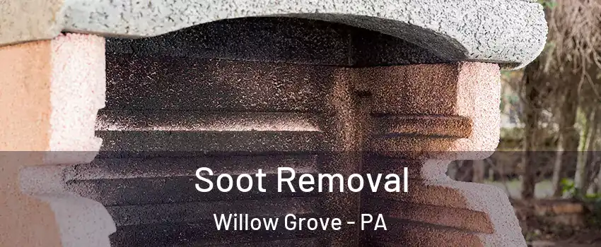  Soot Removal Willow Grove - PA